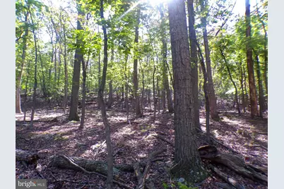 Big Horn Trail #E-16, Augusta, WV 26704 - Photo 3