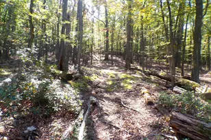 Big Horn Trail, Augusta, WV 26704 - Photo 1