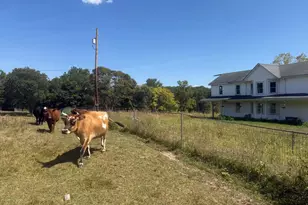 95 Brill Ln, Augusta, WV 26704 - Photo 11