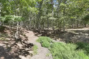 2370 Kerns School Rd, Springfield, WV 26763 - Photo 13