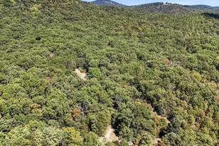 2370 Kerns School Rd, Springfield, WV 26763 - Photo 33