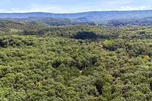 2370 Kerns School Rd, Springfield, WV 26763 - Photo 37