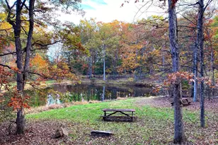 2370 Kerns School Rd, Springfield, WV 26763 - Photo 45