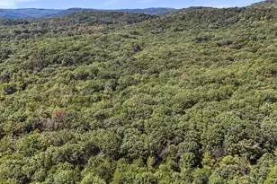 2370 Kerns School Rd, Springfield, WV 26763 - Photo 41