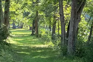 100 Bubbling Spring Rd, Capon Bridge, WV 26711 - Photo 17