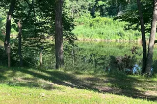 100 Bubbling Spring Rd, Capon Bridge, WV 26711 - Photo 23