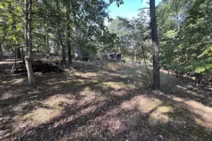 229 Carmel Ct, Purgitsville, WV 26852 - Photo 15