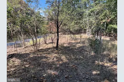 229 Carmel Court, Purgitsville, WV 26852 - Photo 23