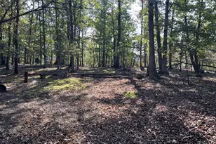 229 Carmel Ct, Purgitsville, WV 26852 - Photo 21