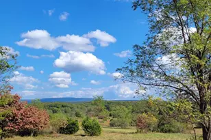 20 31 Ac Jersey Mountain Rd, Levels, WV 25431 - Photo 1