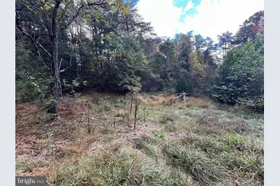 Lot 6 Deep Run Hollow Road, Delray, WV 26714 - Photo 1