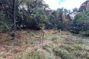 Lot 6 Deep Run Hollow Rd, Delray, WV 26714 - Photo 1