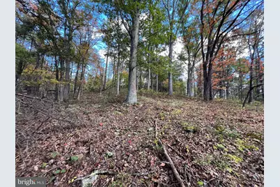 Lot 6 Deep Run Hollow Road, Delray, WV 26714 - Photo 13