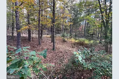 Lot 6 Deep Run Hollow Road, Delray, WV 26714 - Photo 19