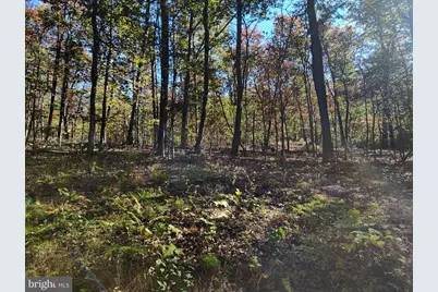 Lot 27 Chance Lane, Paw Paw, WV 25434 - Photo 9