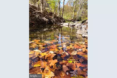 3536 Jr Rannells Road, Points, WV 25437 - Photo 3