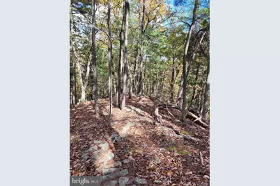 3536 Jr Rannells Road, Points, WV 25437 - Photo 39