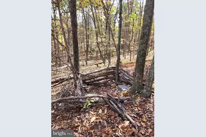 3536 Jr Rannells Road, Points, WV 25437 - Photo 19