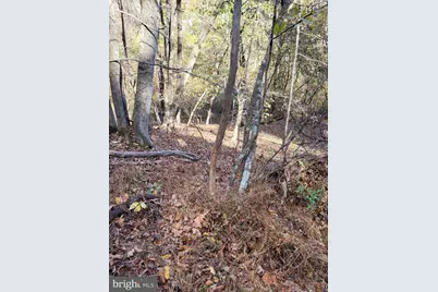 3536 Jr Rannells Road, Points, WV 25437 - Photo 31