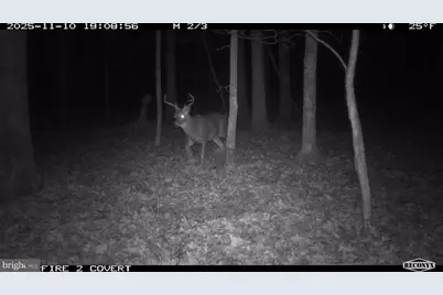 3536 Jr Rannells Road, Points, WV 25437 - Photo 49