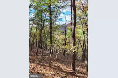 3536 Jr Rannells Road, Points, WV 25437 - Photo 43