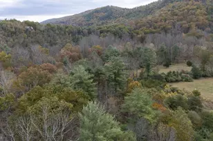 767 Twin Flower Ln, Capon Bridge, WV 26711 - Photo 11