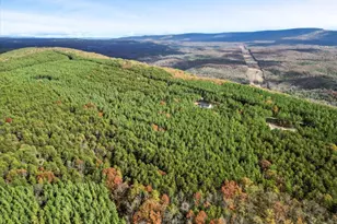 1110 Reymann Dr, Yellow Spring, WV 26865 - Photo 65