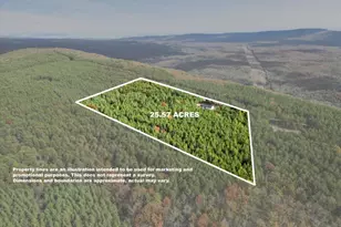 1110 Reymann Dr, Yellow Spring, WV 26865 - Photo 55