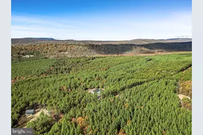 1110 Reymann Drive, Yellow Spring, WV 26865 - Photo 63