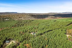 1110 Reymann Dr, Yellow Spring, WV 26865 - Photo 63