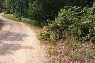 5 06 Acres Delray Heights Circle, Delray, WV 26714 - Photo 1