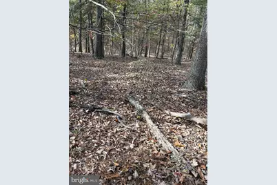 Misty Meadows Lane, Augusta, WV 26704 - Photo 9