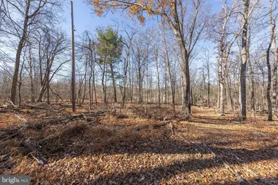 1060 Buffalo Ridge Road, Augusta, WV 26704 - Photo 47