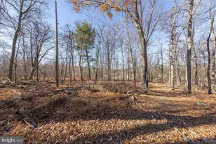 1060 Buffalo Rdg Rd, Augusta, WV 26704 - Photo 47