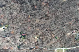 1060 Buffalo Rdg Rd, Augusta, WV 26704 - Photo 53