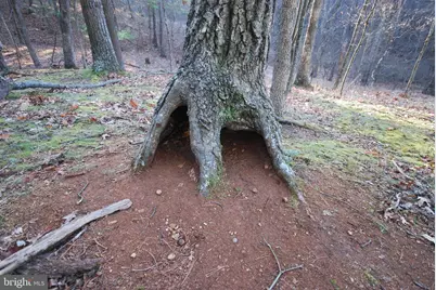 Lot 67 Mill Mountain Road, Romney, WV 26757 - Photo 17