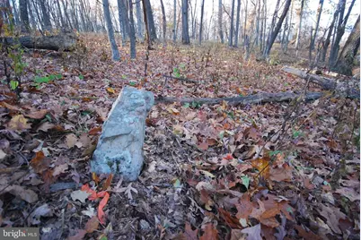 Lot 67 Mill Mountain Road, Romney, WV 26757 - Photo 9