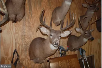 Lot 67 Mill Mountain Road, Romney, WV 26757 - Photo 21