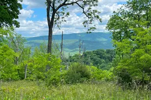 43 Sierra Vis Wy, Purgitsville, WV 26852 - Photo 3