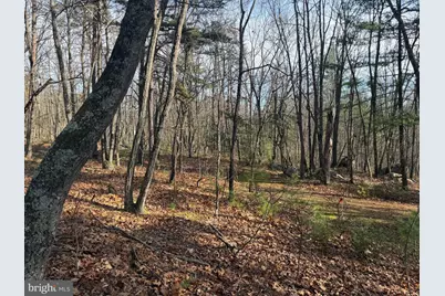 5 Cooper Mountain View, Capon Bridge, WV 26711 - Photo 13