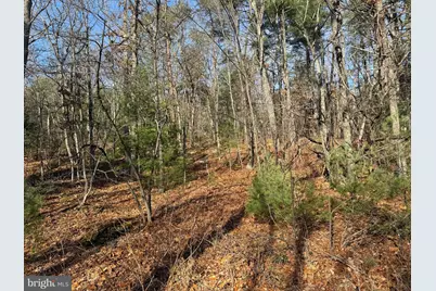 5 Cooper Mountain View, Capon Bridge, WV 26711 - Photo 21