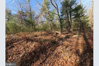 5 Cooper Mountain View, Capon Bridge, WV 26711 - Photo 25