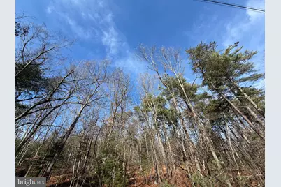 5 Cooper Mountain View, Capon Bridge, WV 26711 - Photo 23