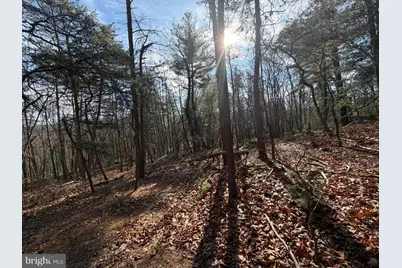 5 Cooper Mountain View, Capon Bridge, WV 26711 - Photo 17