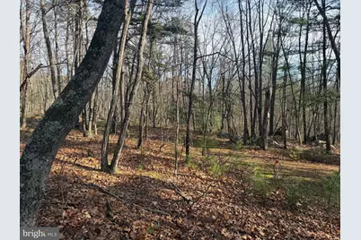 6 Cooper Mountain View, Capon Bridge, WV 26711 - Photo 13
