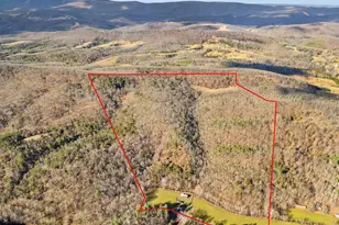 10500 Ford Hill Rd, Rio, WV 26755 - Photo 7