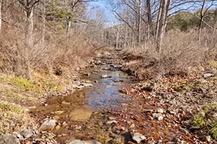 10500 Ford Hill Rd, Rio, WV 26755 - Photo 45