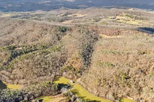 10500 Ford Hill Rd, Rio, WV 26755 - Photo 59