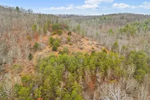 10500 Ford Hill Rd, Rio, WV 26755 - Photo 53