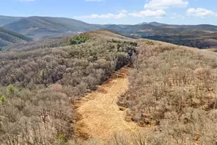 10500 Ford Hill Rd, Rio, WV 26755 - Photo 55